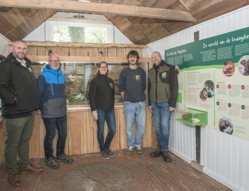 Neue Tierart im Tierpark Nordhorn