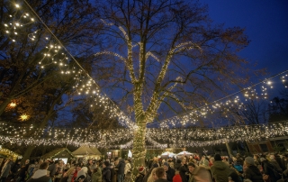 Kerstmarkt in de dierentuin Nordhorn